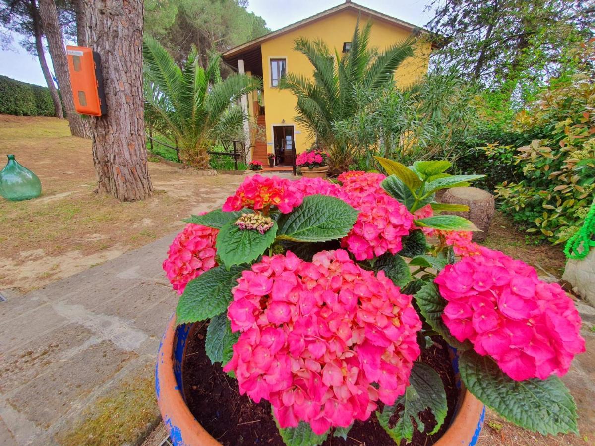 Toscana Holiday Village Montopoli in Val d'Arno Exterior photo