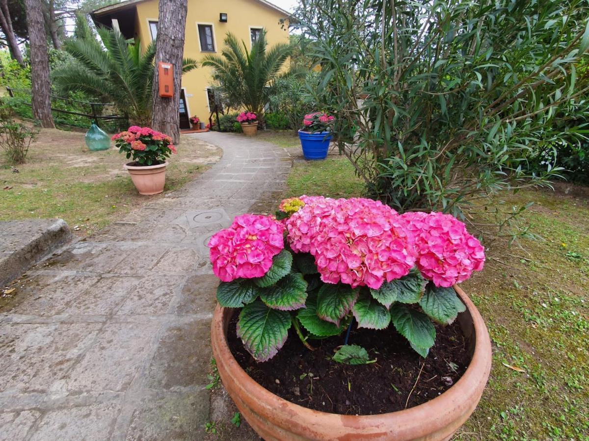 Toscana Holiday Village Montopoli in Val d'Arno Exterior photo